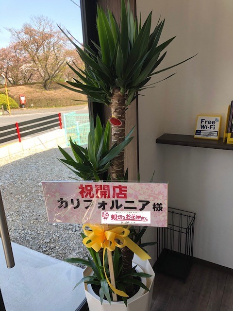 開店祝い花の贈り方 飲食店編 知ってきたい５つのポイント 親切なお花屋さん 開店祝い Com