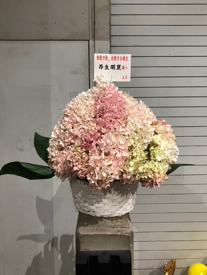 アレンジ花［L］　32,400円（税込）＋オプション