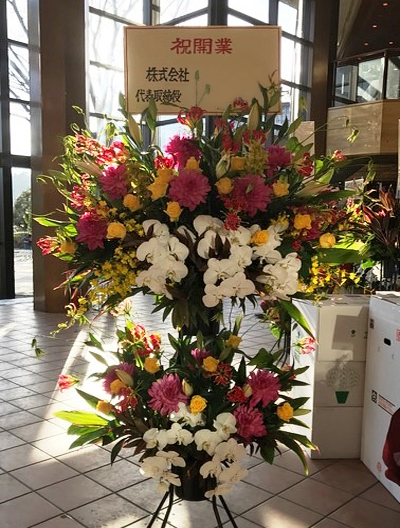 お祝いスタンド花 2段 54,000円(税込)