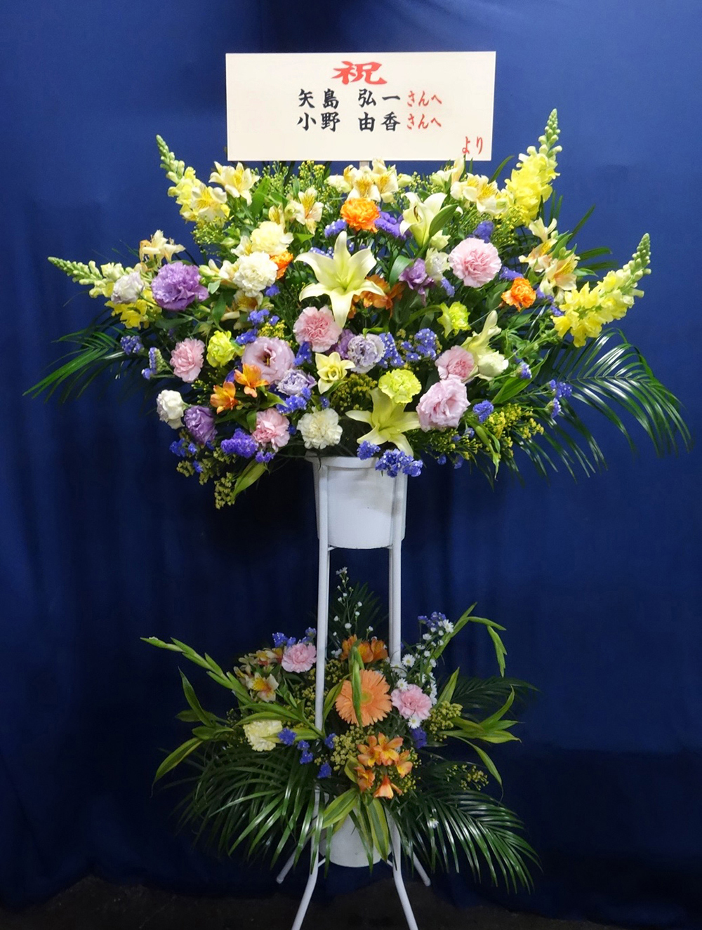 ローム 京都 青木 恭子