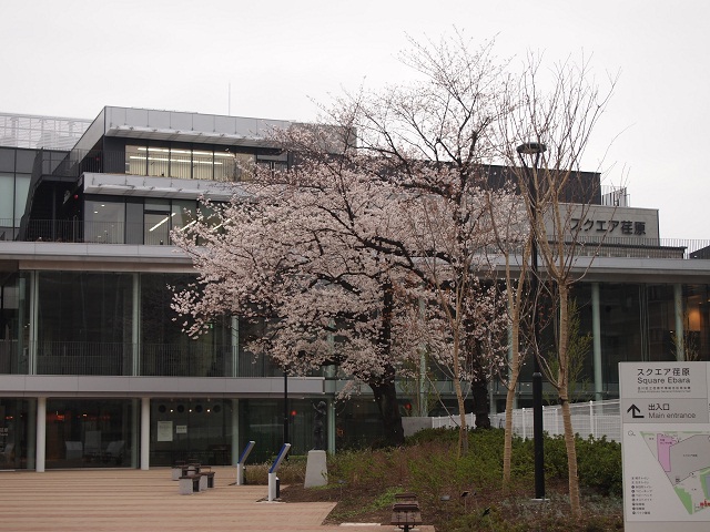 スクエア荏原（荏原平塚総合区民会館）ひらつかホール