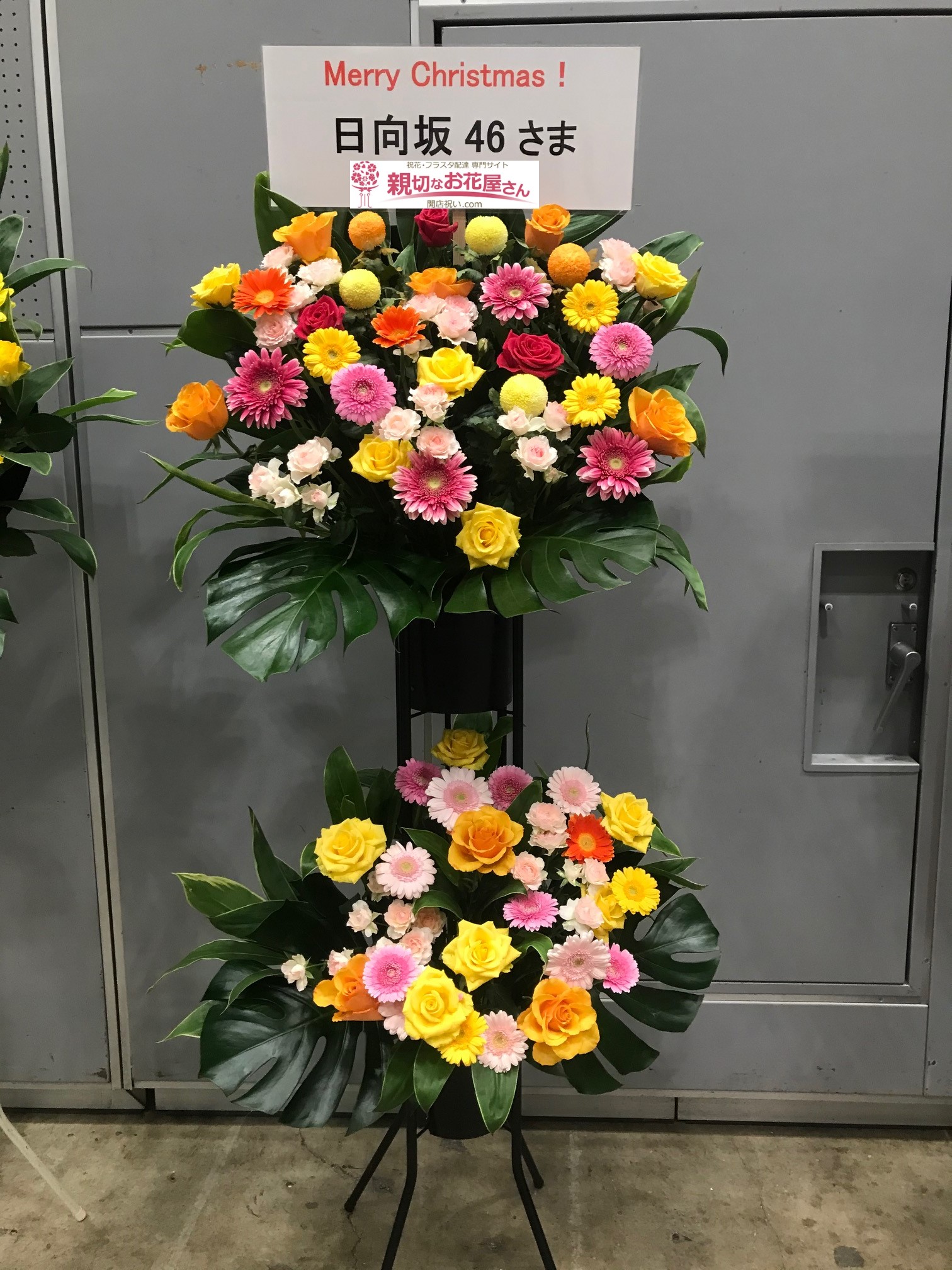 幕張メッセ お祝いスタンド花 日向坂46 ひなくり19 17人のサンタクロースと空のクリスマス 日向坂46様 親切なお花屋さん 開店祝い Com 幕張メッセ お祝いスタンド花 日向坂46 ひなくり19 17人のサンタクロースと空のクリスマス 日向坂46様 親切なお花屋さん 開店祝い Com
