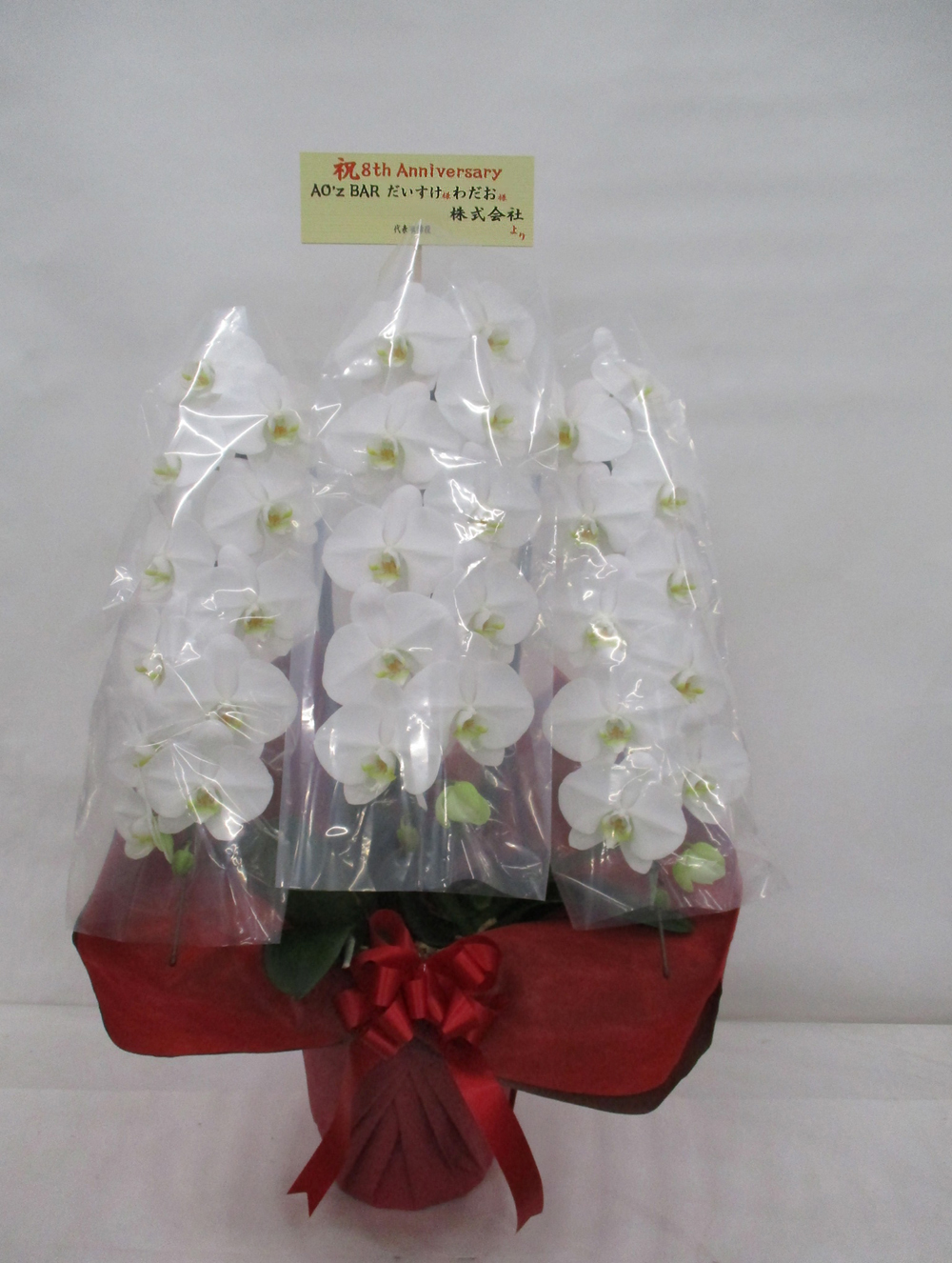 葛飾区東金町 周年祝花 胡蝶蘭 Ao Z Bar だいすけ様 わだお様 親切なお花屋さん 開店祝い Com