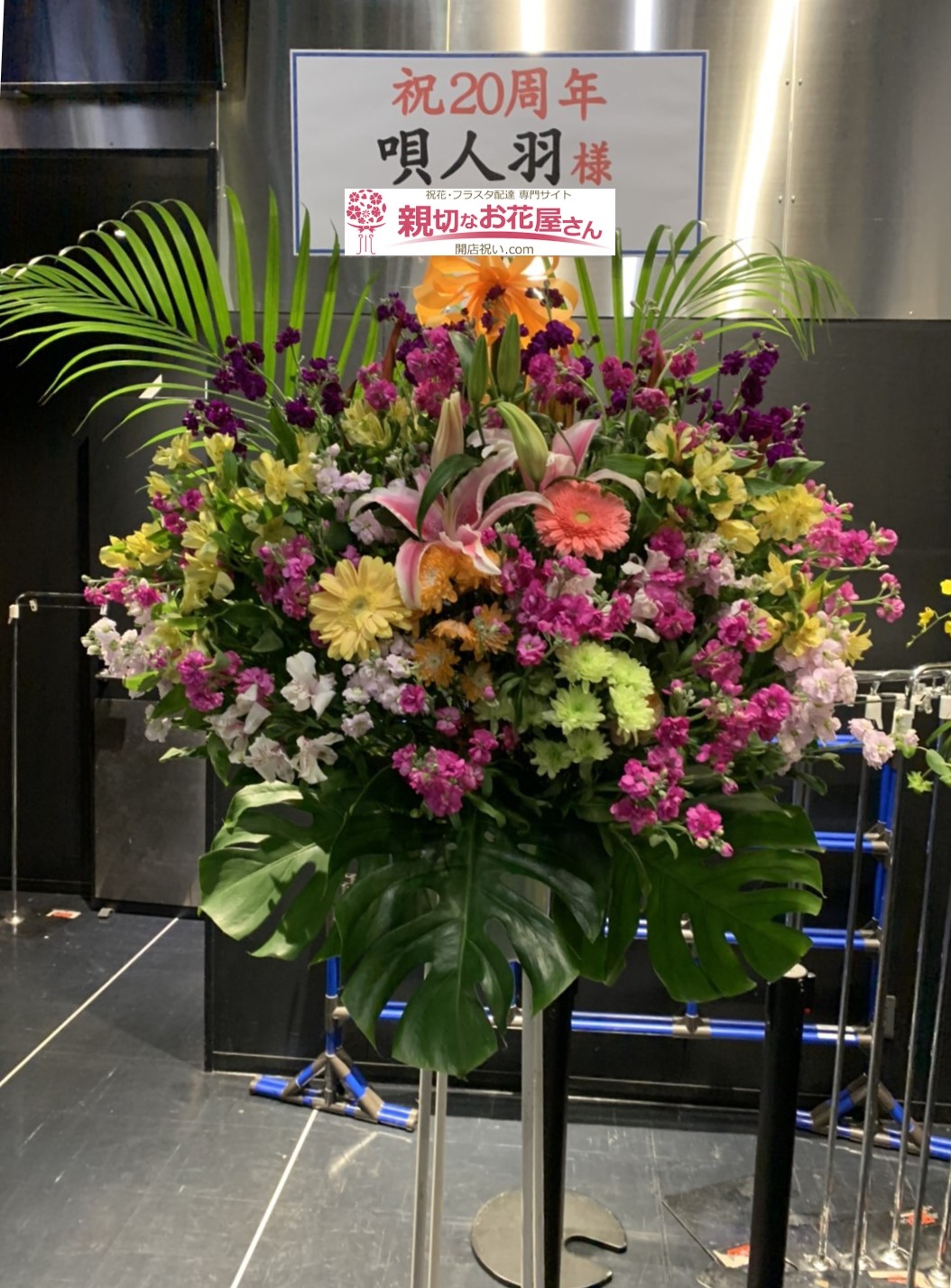 Zepp Fukuoka ゼップ福岡 親切なお花屋さん 開店祝い Com