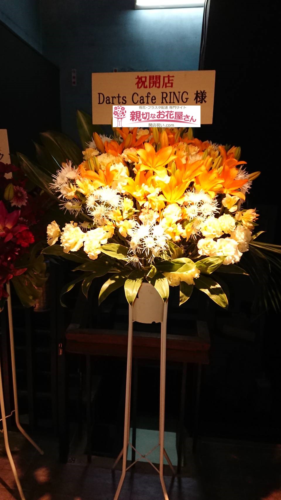 上祝開店 花 最高の花の画像 上祝開店 花 最高の花の画像