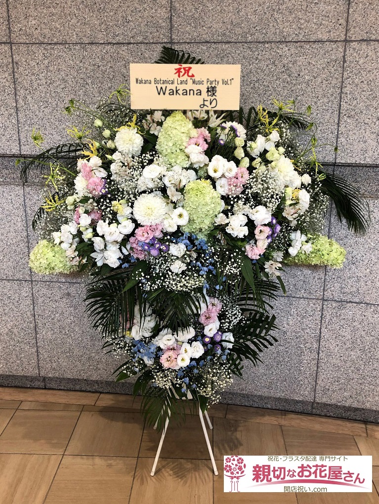 カスミソウ かすみそう かすみ草 アーカイブ ページ 6 7 親切なお花屋さん 開店祝い Com カスミソウ かすみそう かすみ草 アーカイブ ページ 6 7 親切なお花屋さん 開店祝い Com