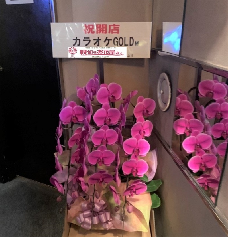 開店祝い ピンク胡蝶蘭 奈良市大宮町 カラオケgold様 親切なお花屋さん 開店祝い Com