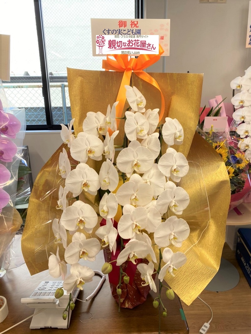 開園祝い 胡蝶蘭 熊本市北区 くすの実こども園 様 親切なお花屋さん 開店祝い Com 開園祝い 胡蝶蘭 熊本市北区 くすの実こども園 様 親切なお花屋さん 開店祝い Com