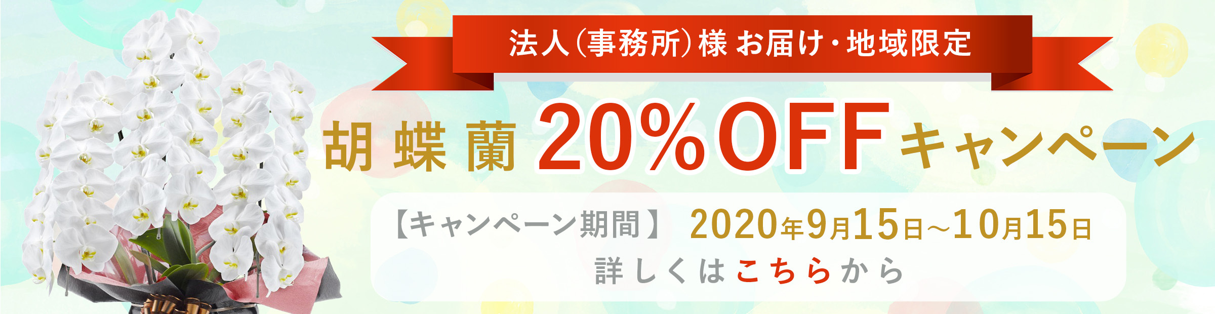胡蝶蘭キャンペーン20％OFF-親切なお花屋さん（開店祝い.com）-