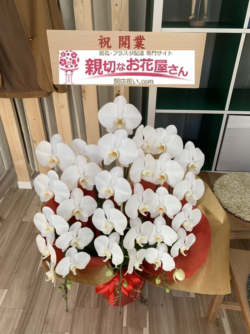 野島整骨院様届 兵庫県芦屋市 開院祝い 胡蝶蘭 白 親切なお花屋さん 開店祝い Com 野島整骨院様届 兵庫県芦屋市 開院祝い 胡蝶蘭 白 親切なお花屋さん 開店祝い Com