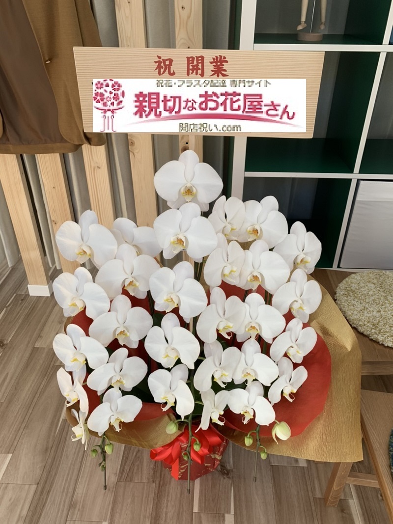 野島整骨院様届 兵庫県芦屋市 開院祝い 胡蝶蘭 白 親切なお花屋さん 開店祝い Com