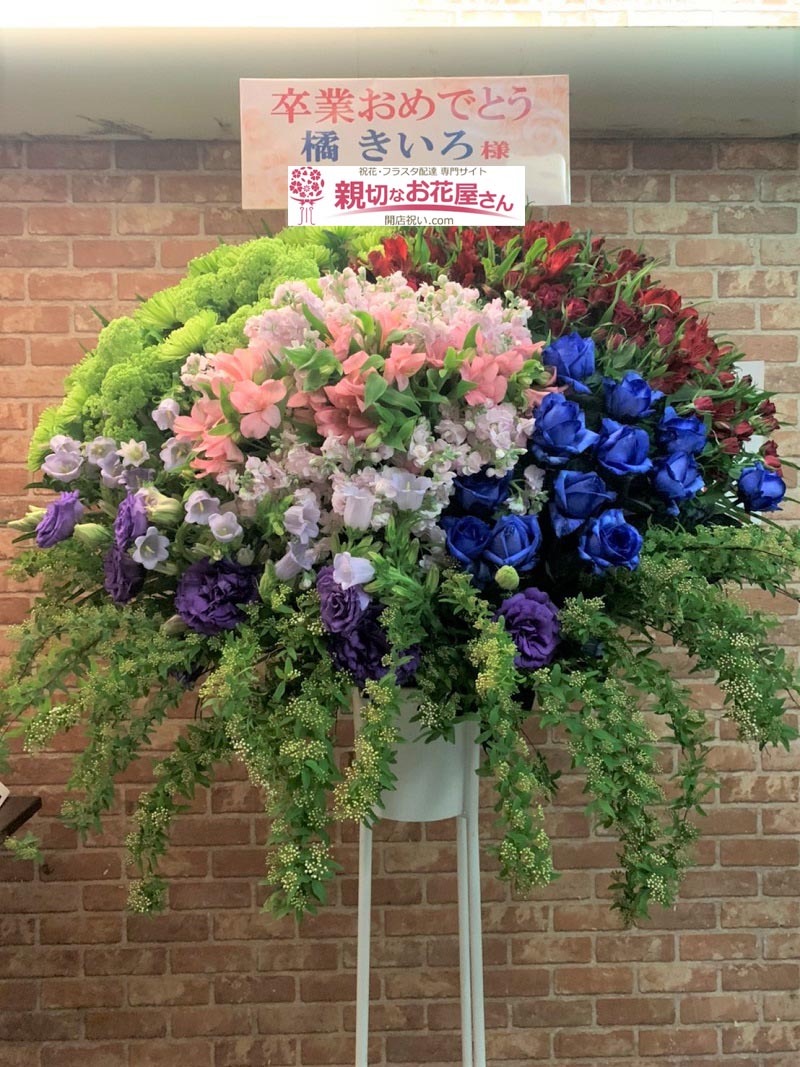枝物 アーカイブ 親切なお花屋さん 開店祝い Com 枝物 アーカイブ 親切なお花屋さん 開店祝い Com