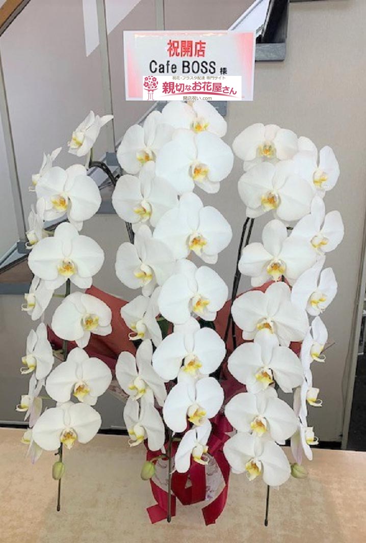 開店祝い花 胡蝶蘭 京都府宇治市 Cafe Boss 様 親切なお花屋さん 開店祝い Com