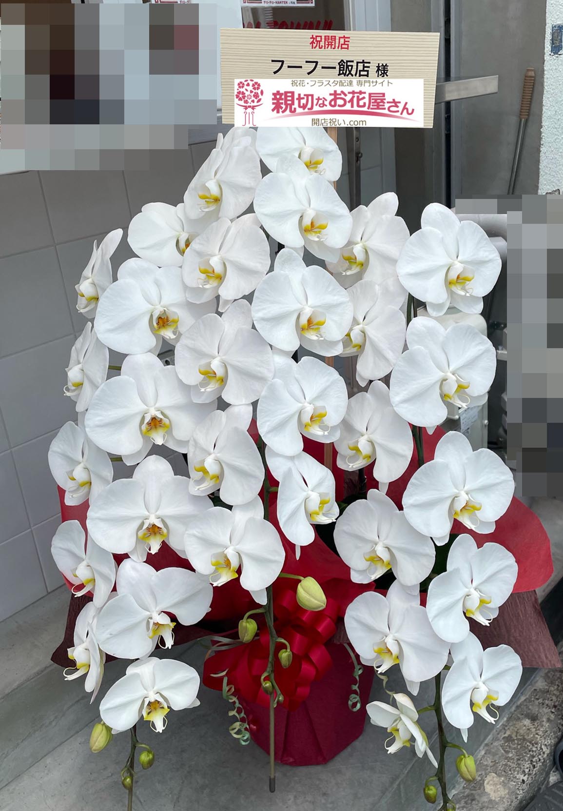 開店祝い花 胡蝶蘭 東京都墨田区錦糸 フーフー飯店 様 親切なお花屋さん 開店祝い Com