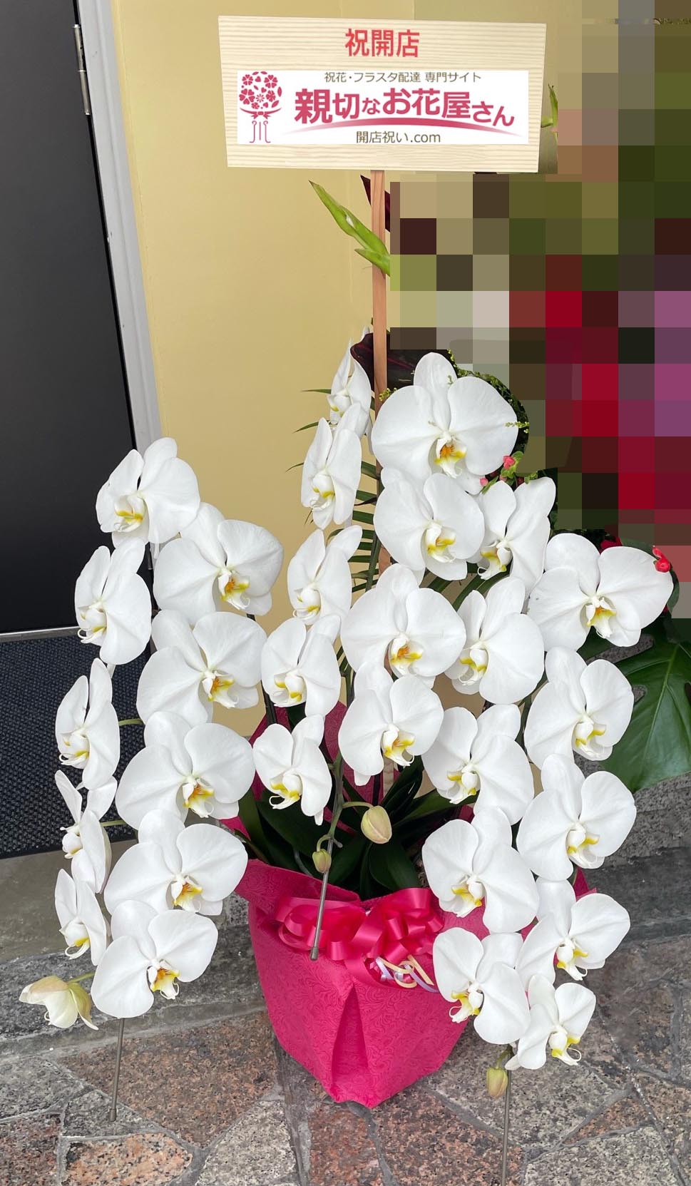 開店祝い花 胡蝶蘭 東京都足立区千住 Damdee Tokyo Hair Lounge 北千住店 様 親切なお花屋さん 開店祝い Com 開店祝い花 胡蝶蘭 東京都足立区千住 Damdee Tokyo Hair Lounge 北千住店 様 親切なお花屋さん 開店祝い Com