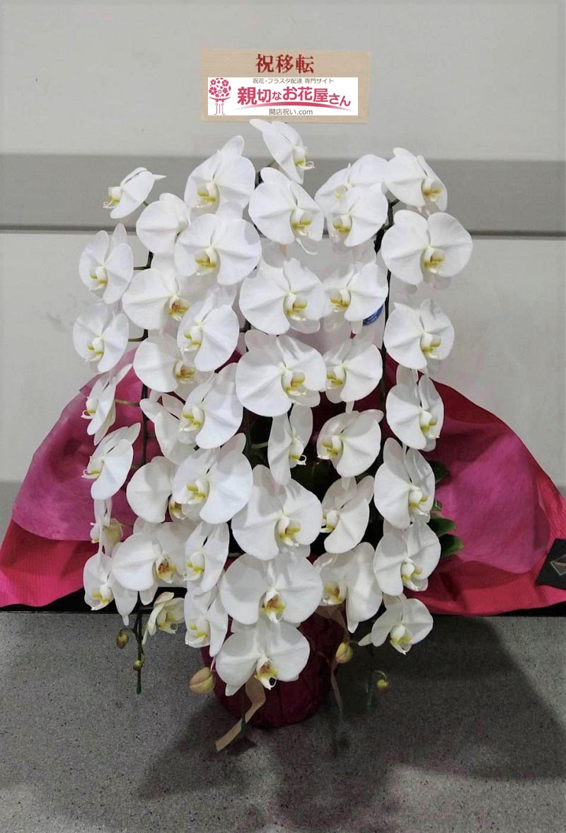 移転祝い花 胡蝶蘭 東京都千代田区丸の内 株式会社三菱ufj銀行 様 親切なお花屋さん 開店祝い Com