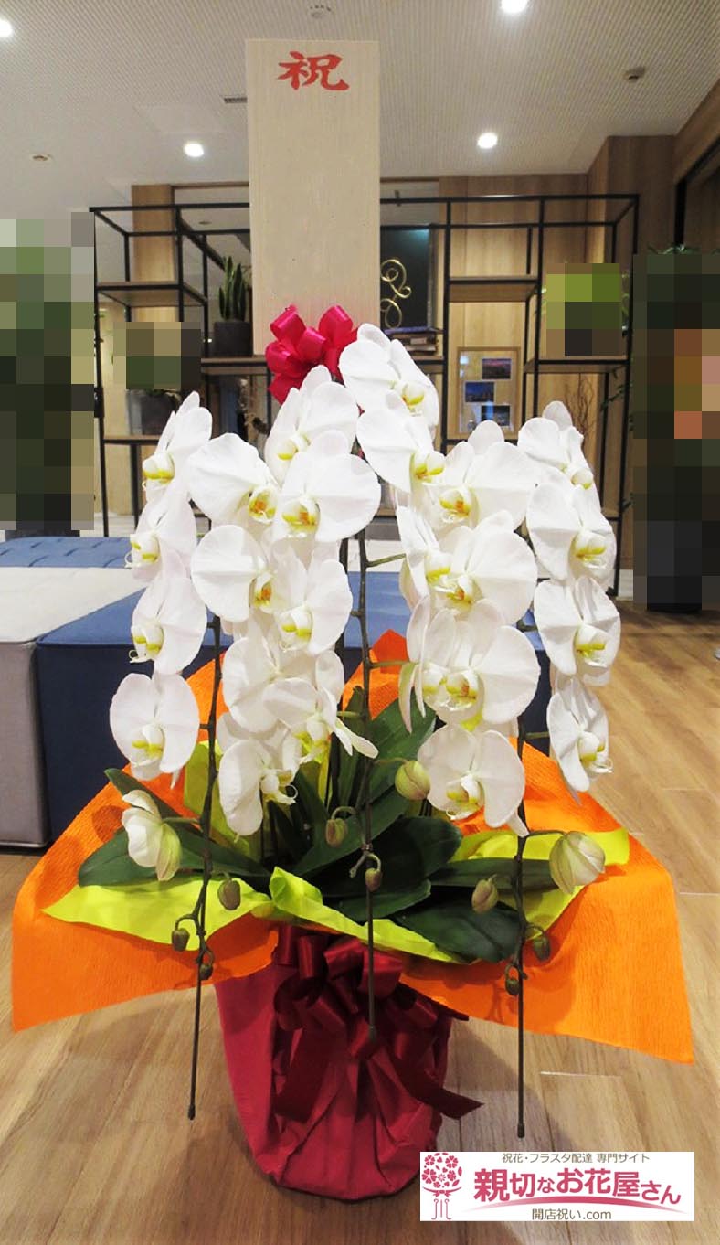 開業祝い花 胡蝶蘭 北海道函館市 フレックステイイン函館駅前 様 親切なお花屋さん 開店祝い Com