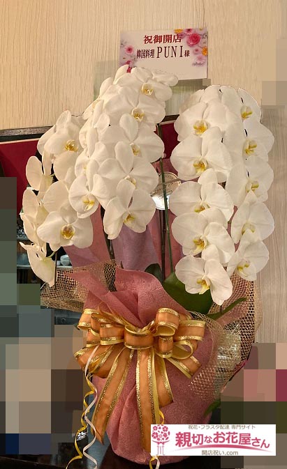 開店祝い花 胡蝶蘭 千葉県千葉市中央区 韓国料理 Puni 様 親切なお花屋さん 開店祝い Com