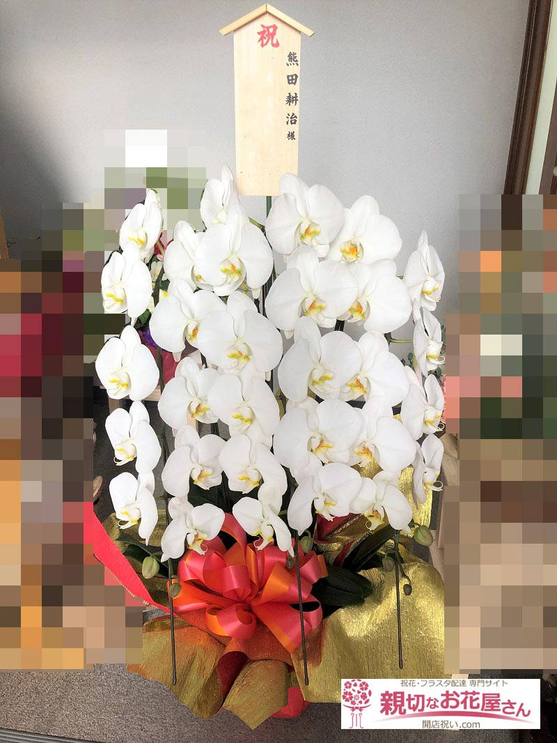祝花 胡蝶蘭 福島県郡山市 熊田耕治税理士事務所 熊田耕治 様 親切なお花屋さん 開店祝い Com
