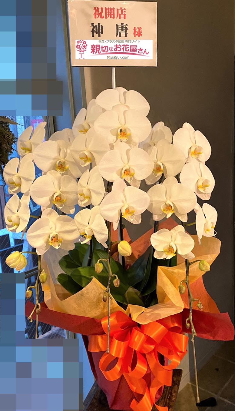 開店祝い花 胡蝶蘭 愛知県名古屋市守山区 神唐 様 唐揚げ専門店 親切なお花屋さん 開店祝い Com