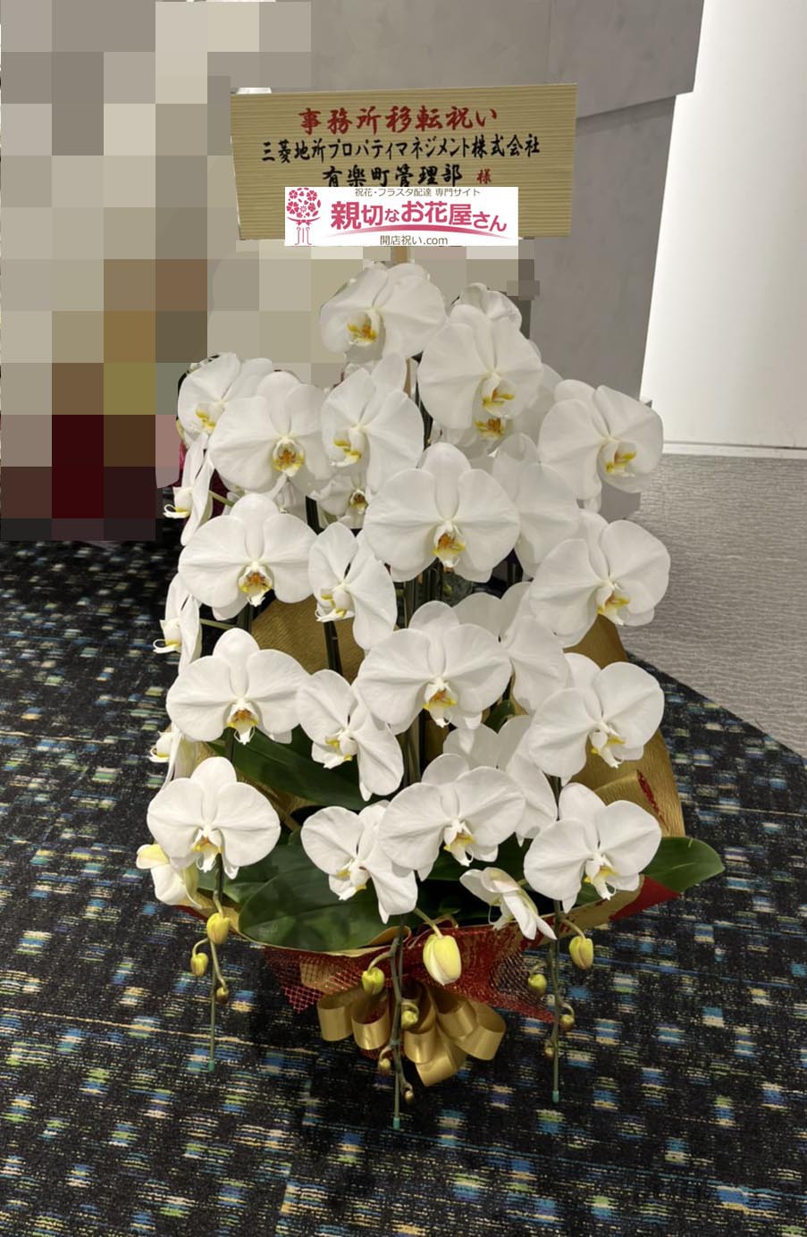 移転祝い花 胡蝶蘭 東京都千代田区丸の内 三菱地所プロパティマネジメント株式会社 有楽町管理部 事務所 様 親切なお花屋さん 開店祝い Com