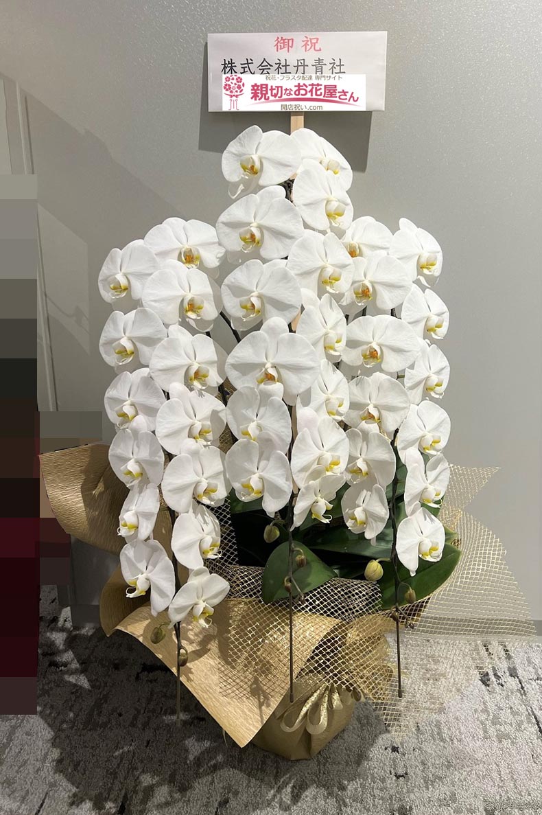 祝花 胡蝶蘭 東京都墨田区吾妻橋 株式会社丹青社 様 現場事務所お届け 親切なお花屋さん 開店祝い Com 祝花 胡蝶蘭 東京都墨田区吾妻橋 株式会社丹青社 様 現場事務所お届け 親切なお花屋さん 開店祝い Com