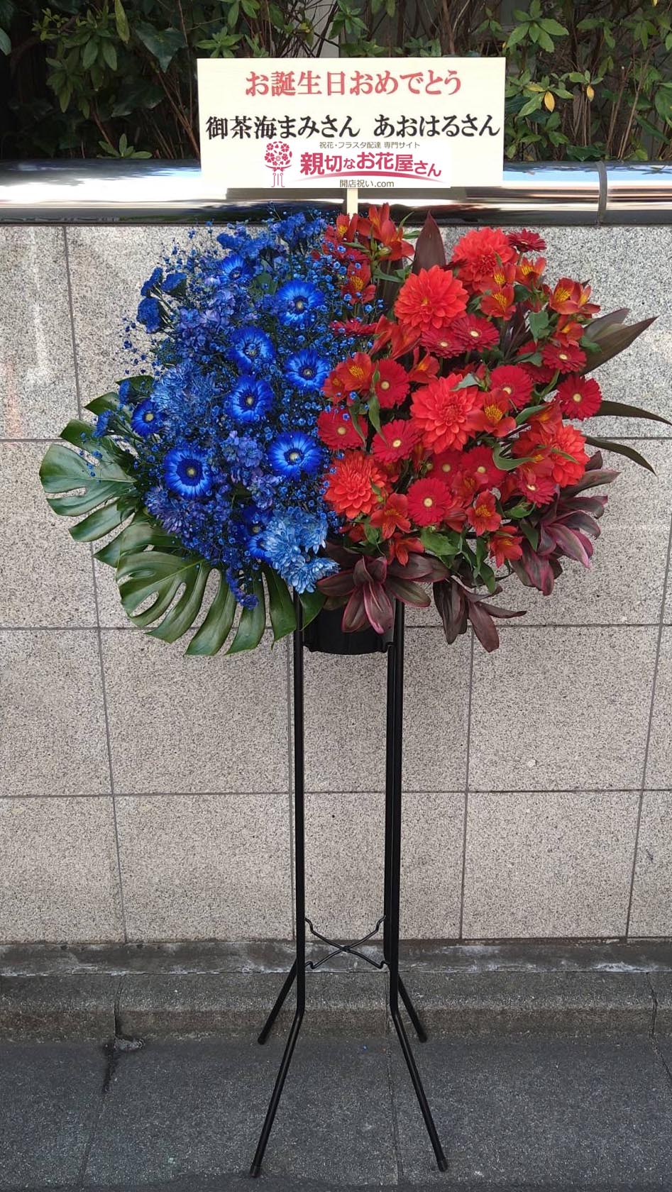 祝花 生誕祭祝いスタンド花 東京都渋谷区道玄坂 渋谷la Mama 御茶海マミ あおはる なんちゃら合同生誕ライブ 御茶海まみ 様 あおはる 様 親切なお花屋さん 開店祝い Com