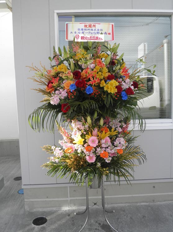 その他新規オープン アーカイブ 親切なお花屋さん 開店祝い Com その他新規オープン アーカイブ 親切なお花屋さん 開店祝い Com