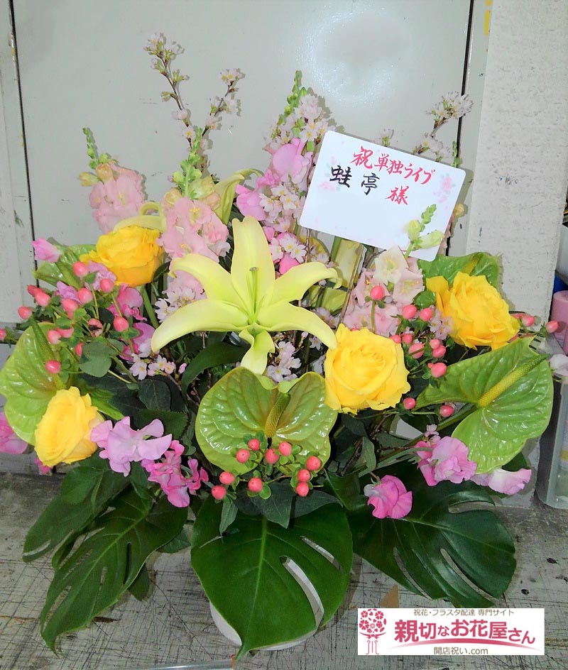 祝花 楽屋用アレンジ花 東京都新宿区新宿 ルミネtheよしもと 蛙亭単独ライブ Tokyo Public Night 蛙亭 様 親切なお花屋 さん 開店祝い Com