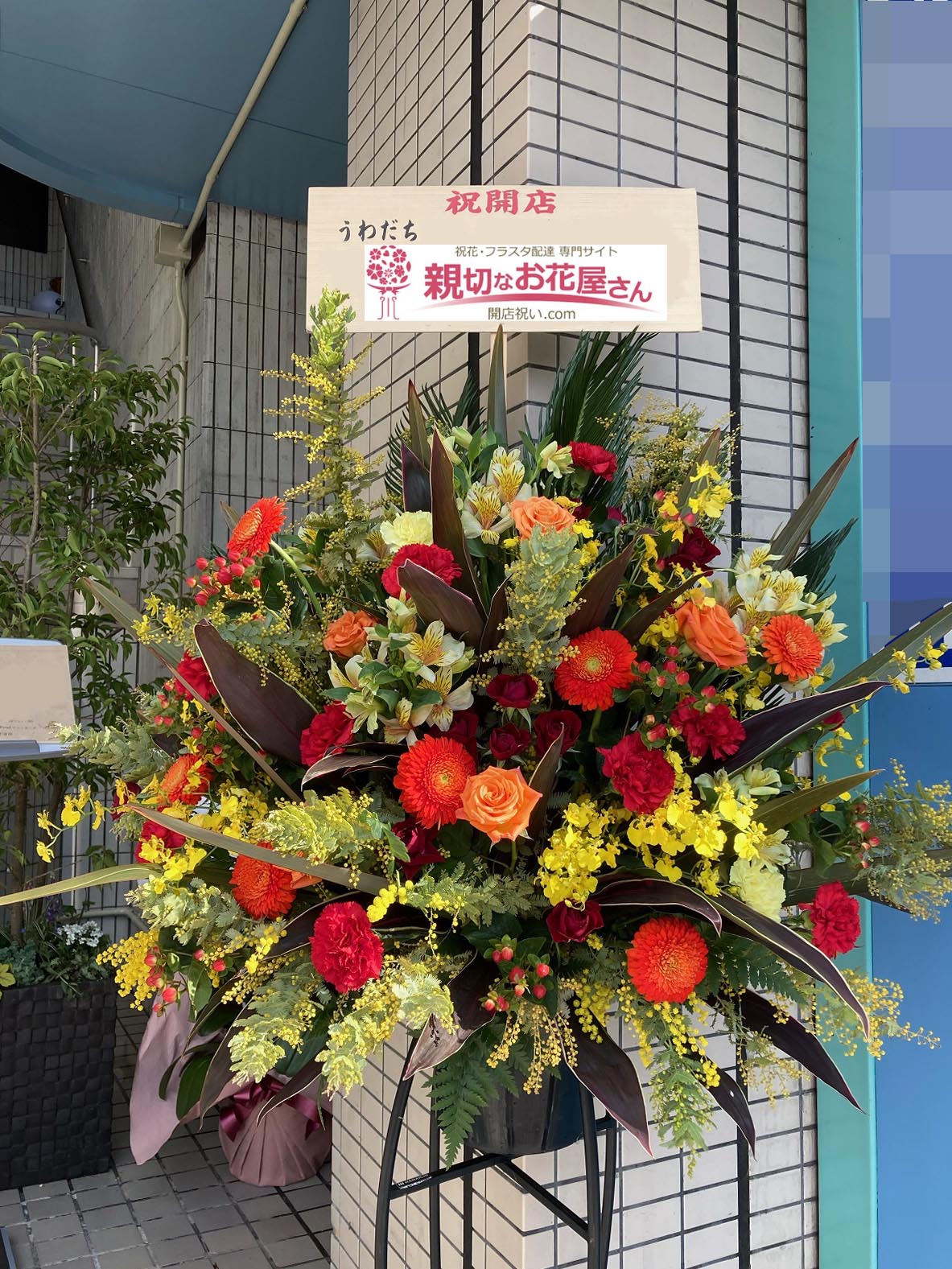 開店祝い花 スタンド花 長野県長野市 うわだち 様 居酒屋 親切なお花屋さん 開店祝い Com 開店祝い花 スタンド花 長野県長野市 うわだち 様 居酒屋 親切なお花屋さん 開店祝い Com