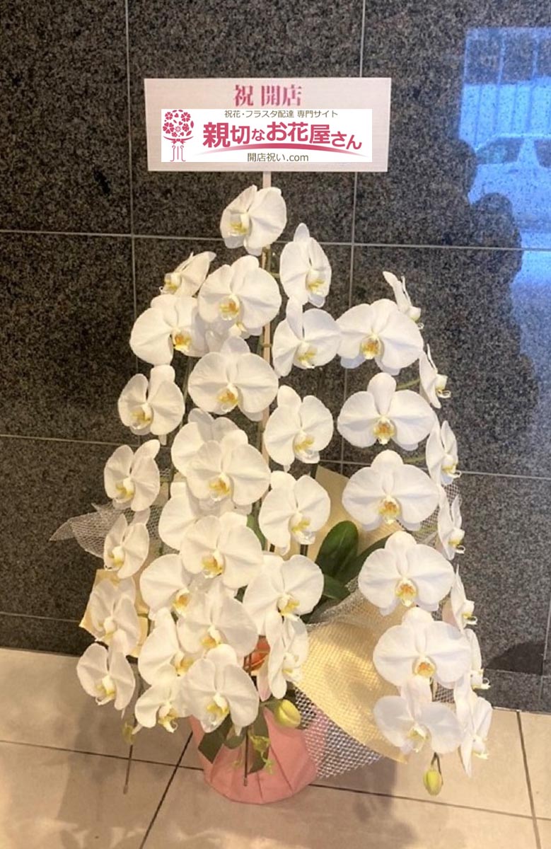 開店祝い花 胡蝶蘭 2基 兵庫県神戸市中央区 ラウンジ店 様 親切なお花屋さん 開店祝い Com