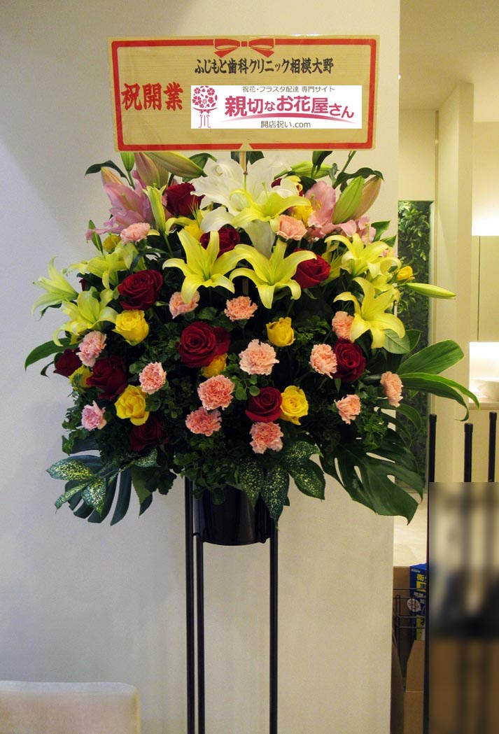 歯科医などの病院 クリニックの開院 開業祝い アーカイブ 親切なお花屋さん 開店祝い Com