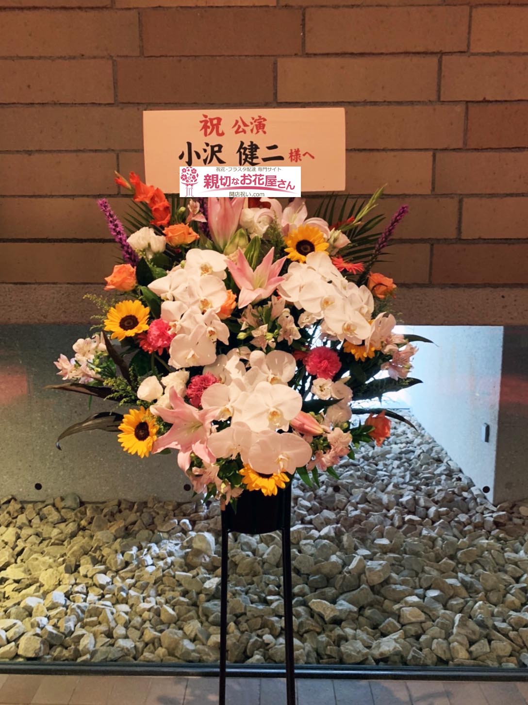 フェスティバルホール 親切なお花屋さん 開店祝い Com フェスティバルホール 親切なお花屋さん 開店祝い Com