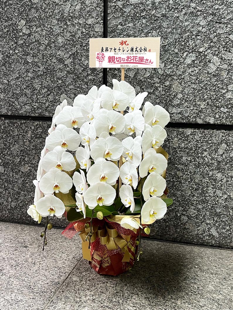 移転祝い花 胡蝶蘭 東京都港区港南 東邦アセチレン株式会社 様 親切なお花屋さん 開店祝い Com 移転祝い花 胡蝶蘭 東京都港区港南 東邦アセチレン株式会社 様 親切なお花屋さん 開店祝い Com