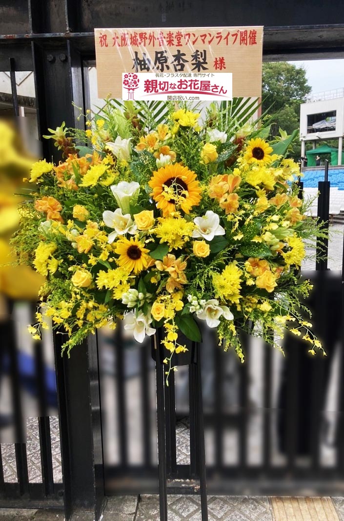当日配達 お祝い用お花屋さんにおまかせ花束 - us.edu.cv