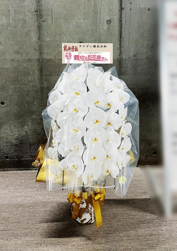 移転祝い花 胡蝶蘭 東京都品川区大井 アイディ株式会社 様 親切なお花屋さん 開店祝い Com