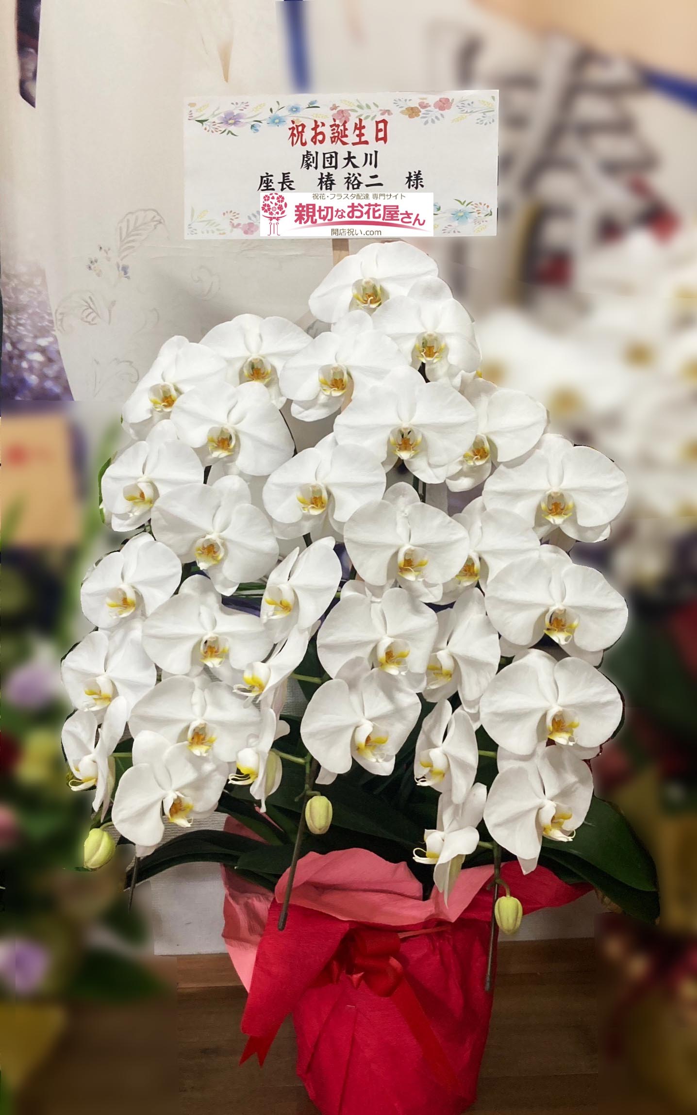 大衆演劇 公演 誕生日 お祝い アーカイブ 親切なお花屋さん 開店祝い Com