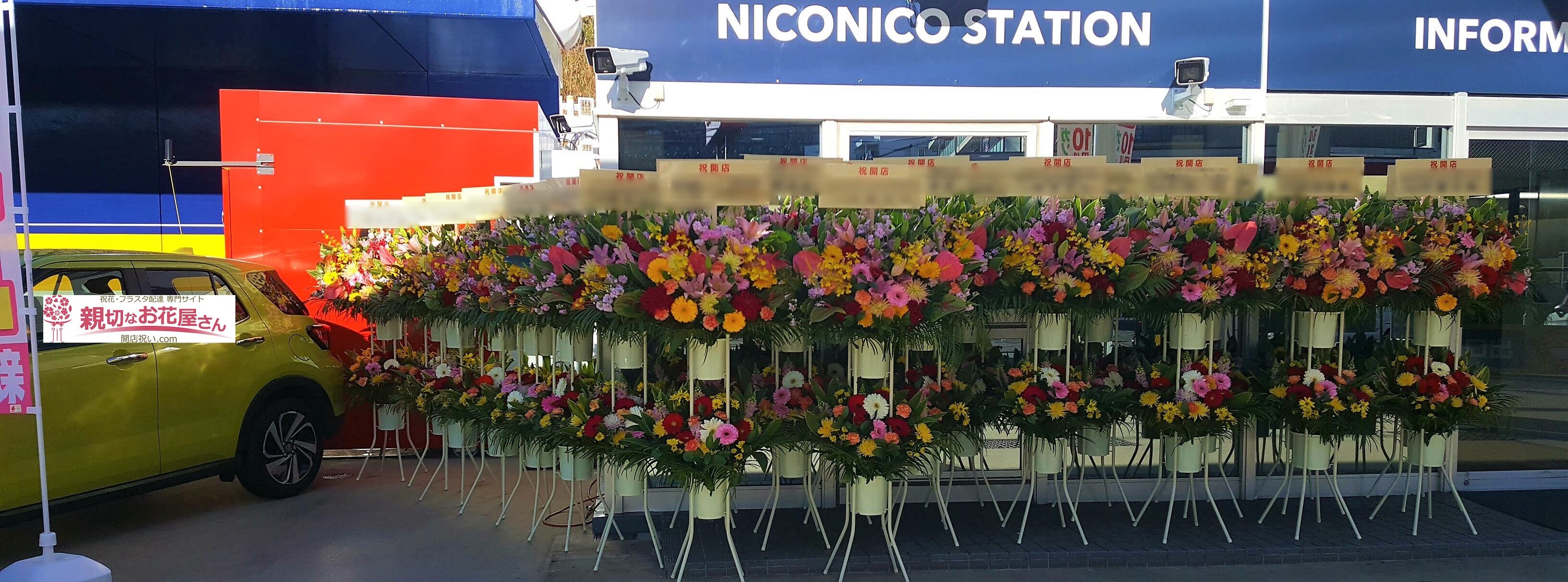 お祝花 スタンド花・胡蝶蘭 一括おまとめ複数基のご注文 開店・移転 
